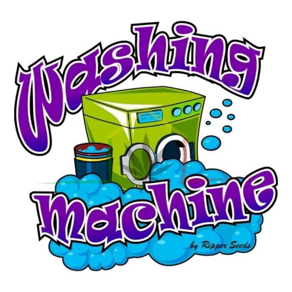 Washing Machine - Ripper Seeds,