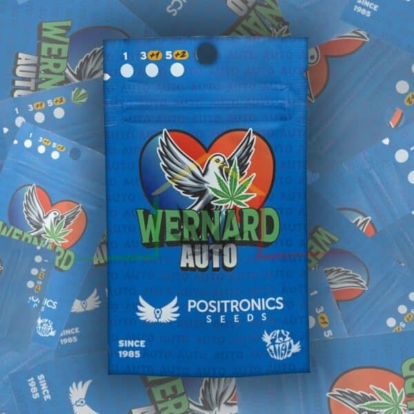 Wernard Auto - Positronics Seeds