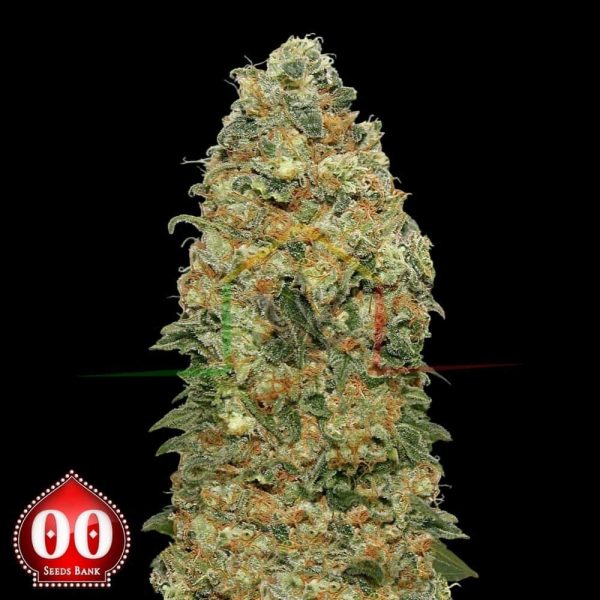 White Widow - 00 Seeds