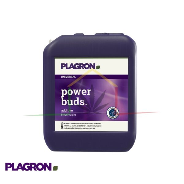 Power Buds 5L