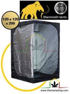 Mammoth Classic 120