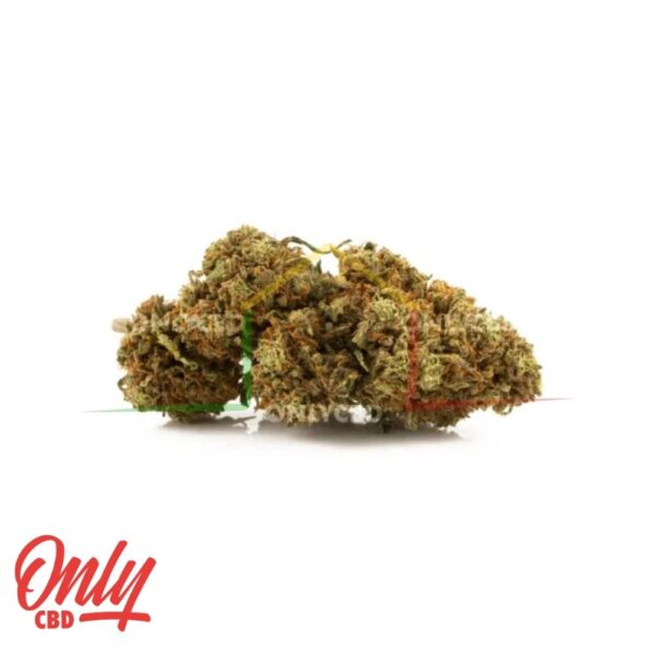 Amnesia OG CBD only cbd