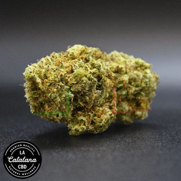 Flor cbd tropical gelato la catalana cbd