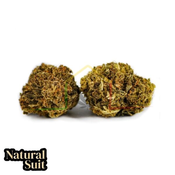 Flor cbd watermelon natural suit