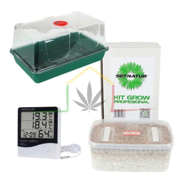Pack kit cultivo setas económico