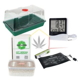 Pack kit cultivo setas premium