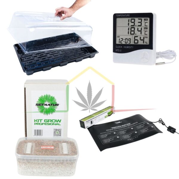 Pack kit cultivo setas premium XL
