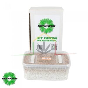 Kit pan de setas B+