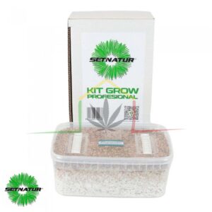 Kit pan de setas Mazapatec