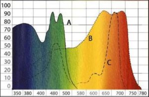 Colour chart