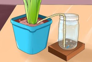 Irrigation par corde