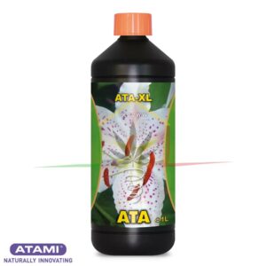 ATA XL - Atami