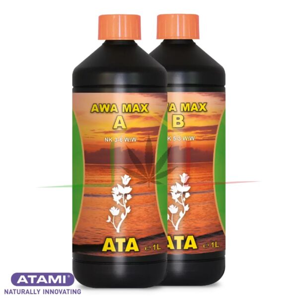 ATA Awa Max A&B - Atami