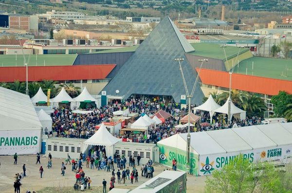 Entrada spannabis