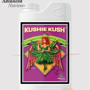 KUSHIE KUSH