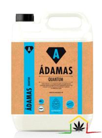 QUANTUM - ÁDAMAS