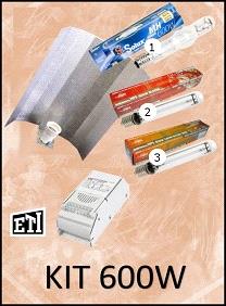 KIT ILUMINACIÓN 600W BÁSICO