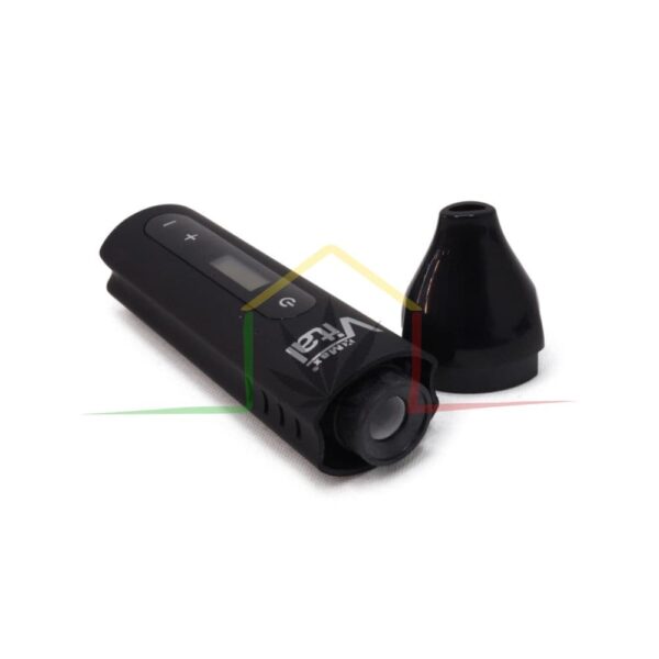 vaporizador X-vape x-max vital